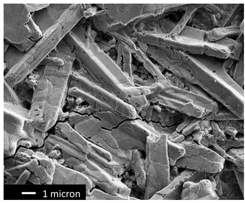 Figure 4: High magnification photograph of a galvannealed steel surface. The surface structure results in excellent paint adhesion.
